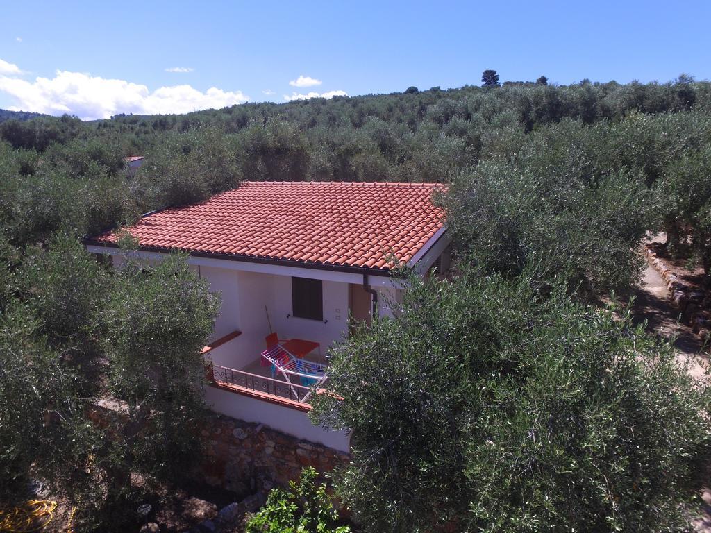 Zagare Residence Rodi Garganico Kültér fotó